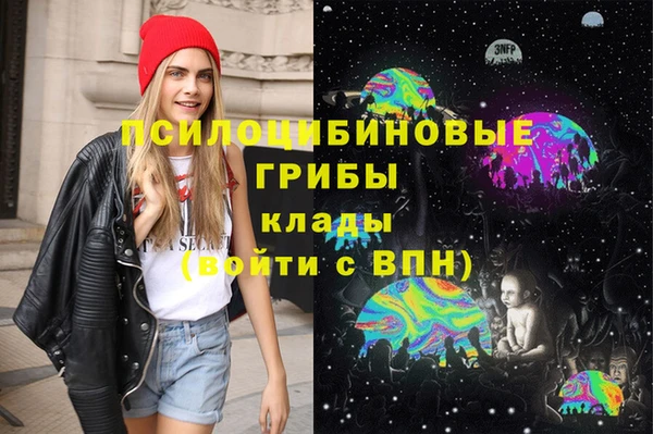 сатива Алексеевка