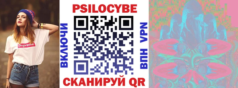Галлюциногенные грибы Psilocybe  дарнет шоп  Судогда 
